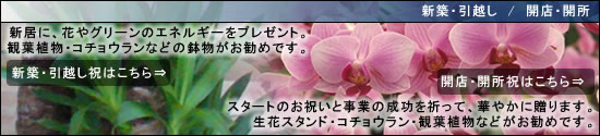 �X�^�[�g�̂��j���Ǝ��Ƃ̐������F���āA�؂₩�ɑ���܂��B���ԃX�^���h�E�R�`���E�����E�ϗt�A���Ȃǂ������߂ł��B